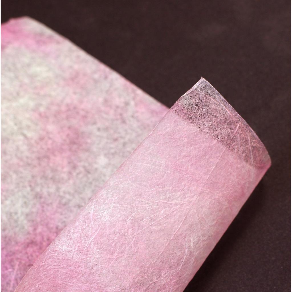 Kyoto's Elephant Washi Paper, Tosa Handmade Variety 10 Colors Set, 200x300mm 2-460