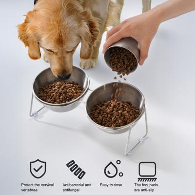 Stainless Steel Elevated Cat Bowl Tilted Raised Cat Bowl with Metal Stand Pet Feeding Dish To Prevent Fatigue for Indoor Cat And Dog