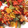 Farmhouse Fall Wreath For Thanksgiving Harvest Season Front Door Decor With Berry Vine Circle Flower Eucalyptus Leaves Hanging