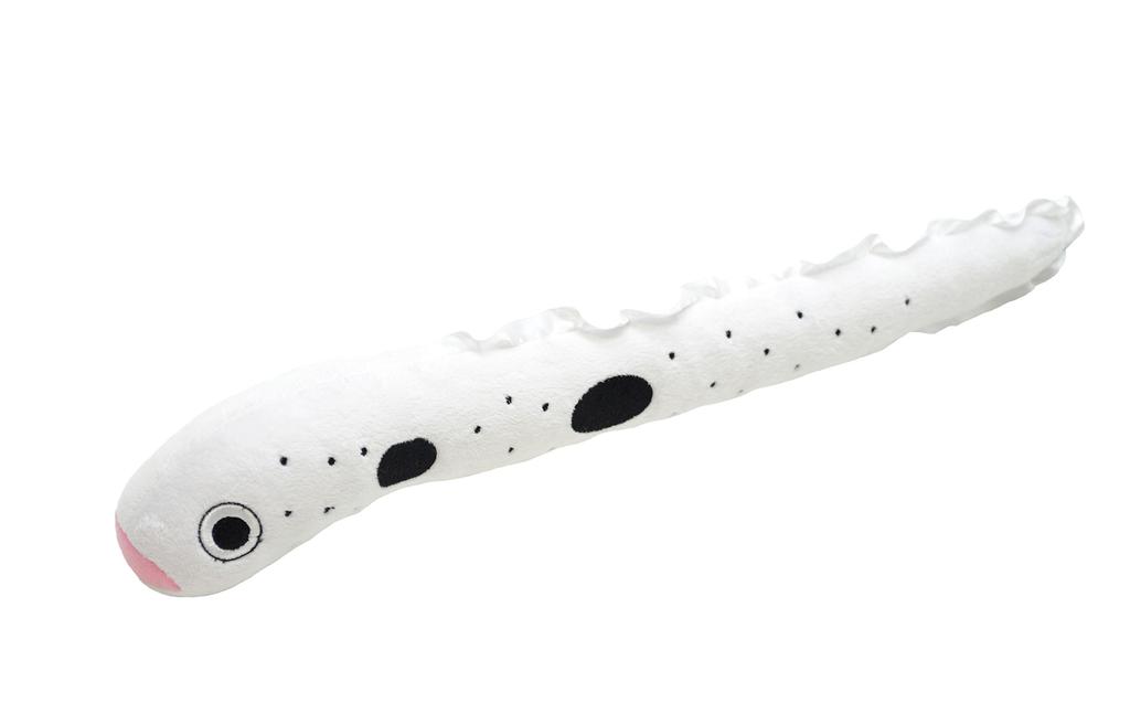 AQUA Plush Toy Marine Nigitaro Conger Eel 14 00085700