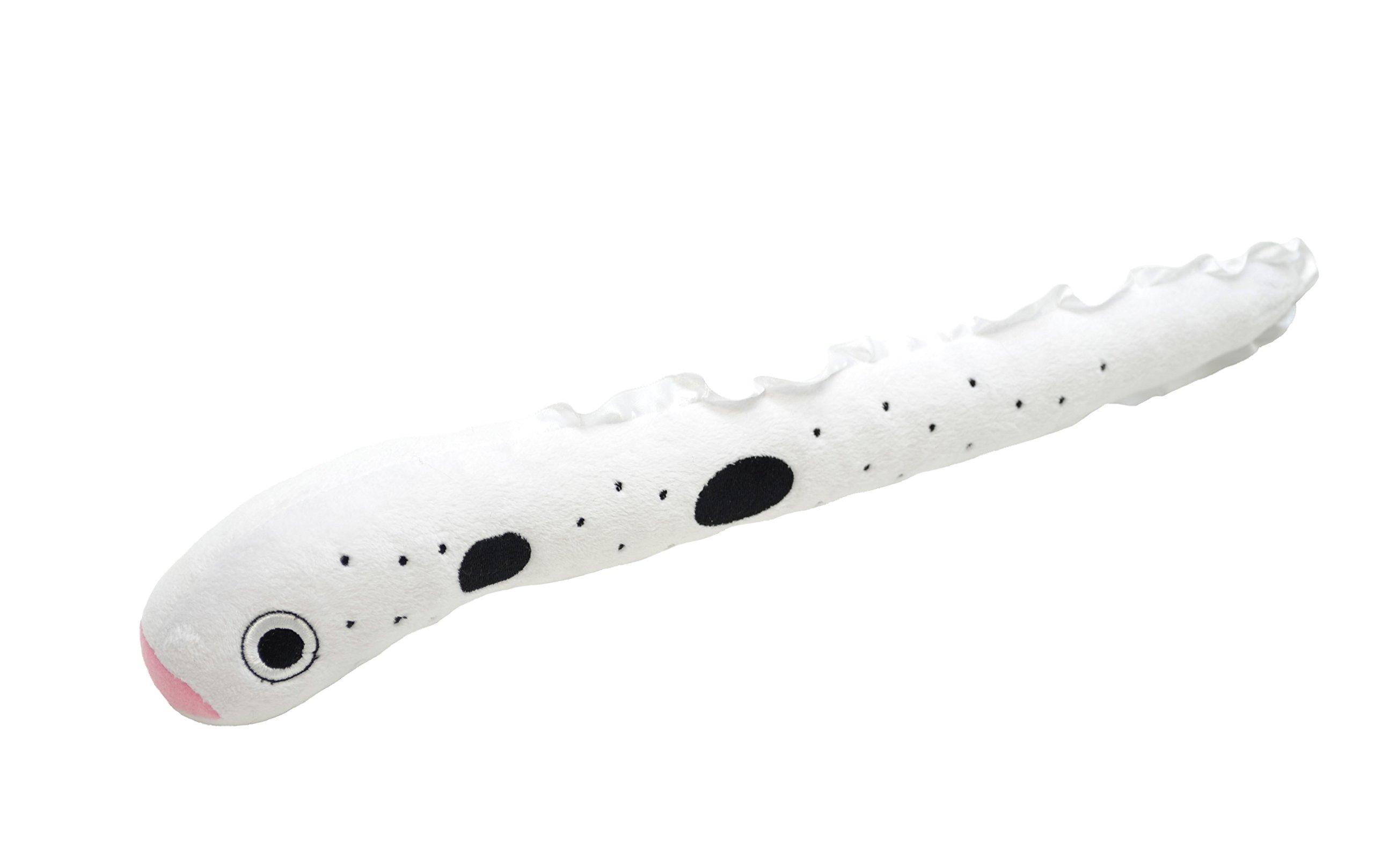 

AQUA Plush Toy Marine Nigitaro Conger Eel 14 00085700