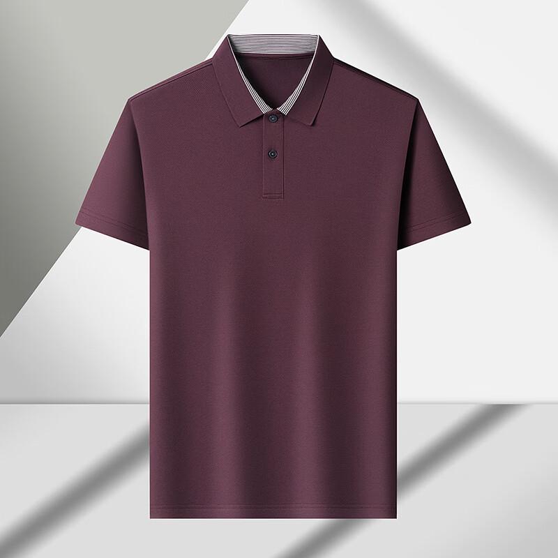 Firstview Men's Silk Blend Polo Shirt