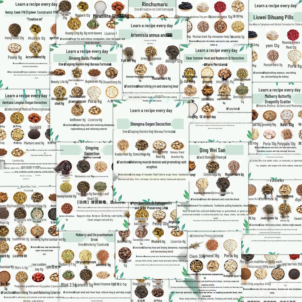 96 Sheets Daily Formula Stickers: Traditional Chinese Medicine Herbal Reference for Notebooks & iPads