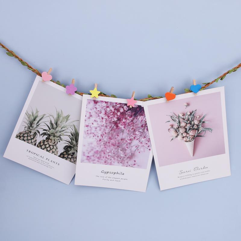 Frânghie de cânepă Frânghie de viță de vie Perete foto Frunză verde Ratan împletit Handmade Bricolaj Creativ Frânghie decorativă Frânghie groasă cerată