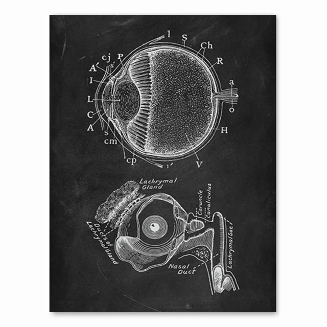 Έργα τέχνης ανθρώπινης ανατομίας ιατρική κλινική εικόνα τοίχου Σκελετός όργανο μυϊκό σύστημα Εκτύπωση εκλεκτής ποιότητας καμβάς Εκπαίδευση σώματος Αφίσα χωρίς πλαίσιο