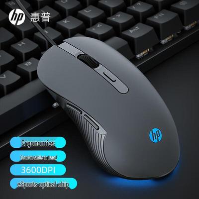 HP Wired Ergonomic Mouse