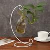 Micro Landscape Ecological Bottle Iron Hanging Retro Glass Ball Hanging Stand Candle Holder Hook Flower Rack Iron Frame