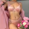 Conjunto de ropa interior de seda de hielo francesa para mujer, conjunto de sujetador push up de encaje sexy con relleno desmontable, sujetador de copa fina, conjuntos de lencería sin costuras