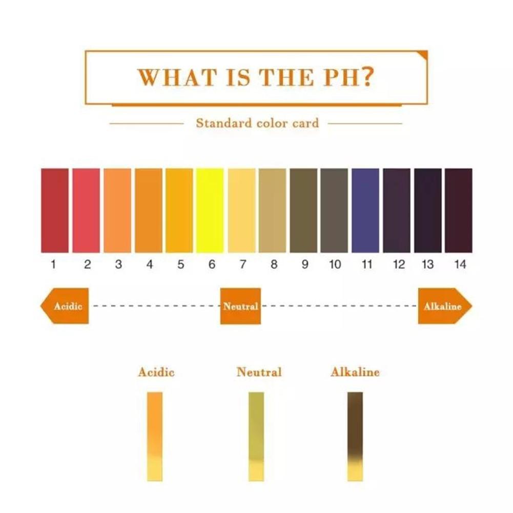 Strip Test Paper Test Strip Test Tool Urine Water Quality Aquariums