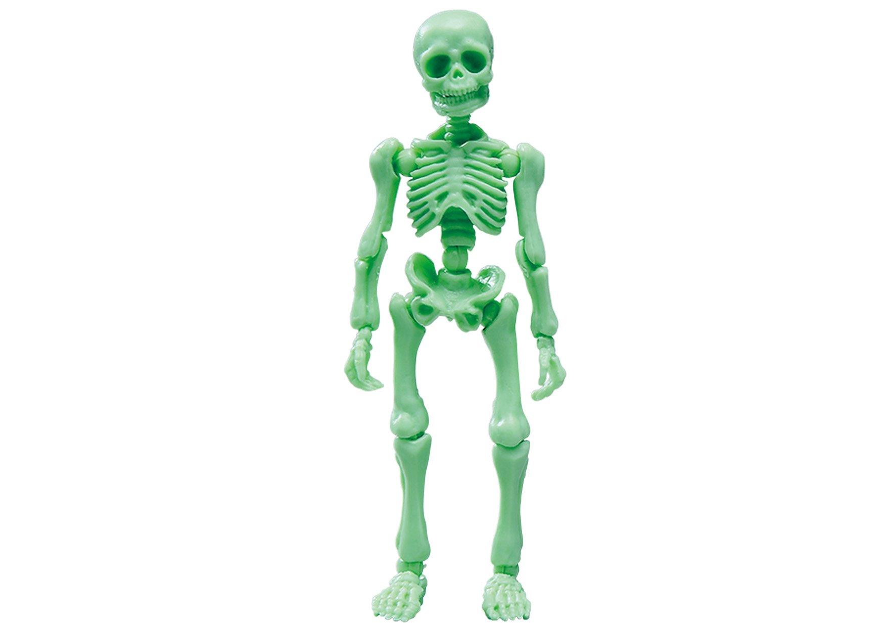

Pose Skeleton Human 01 Human Color Series Cream Soda
