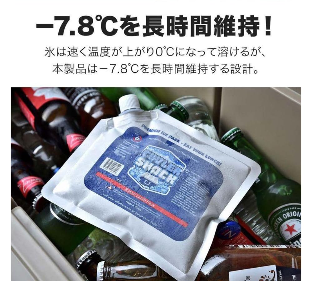 COOLER SHOCK Ice Set of 2 Packs, Small,