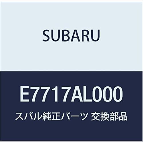 SUBARU Genuine Parts Legacy Cargo Step Panel (Stainless Steel) E7717AL000