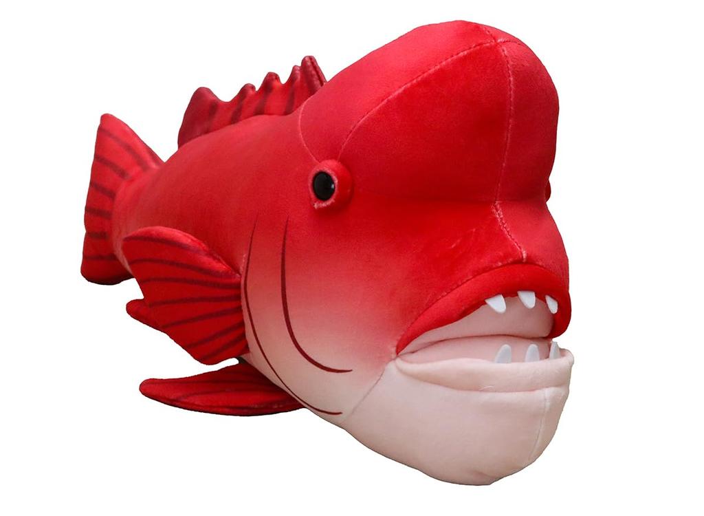 Takeoff Sea and Fish Asian Sheepshead Wrasse