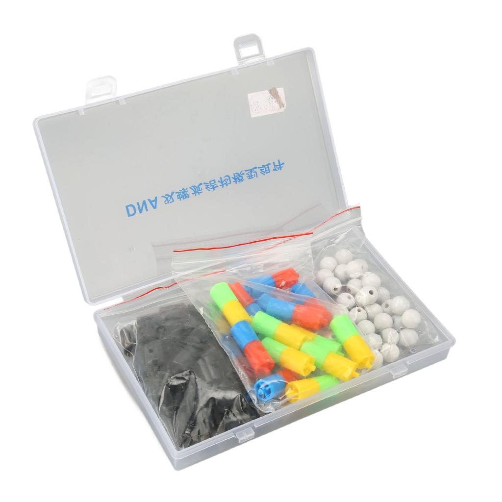 DNA Double Helix Structure Models Educational DNA Double Helix Modesl Kit Biological Science
