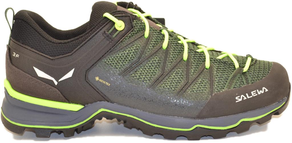 Hiking Shoes Salewa Mountain Trainer Lite GTX (61361) Green Myrtle/ombre Blue
