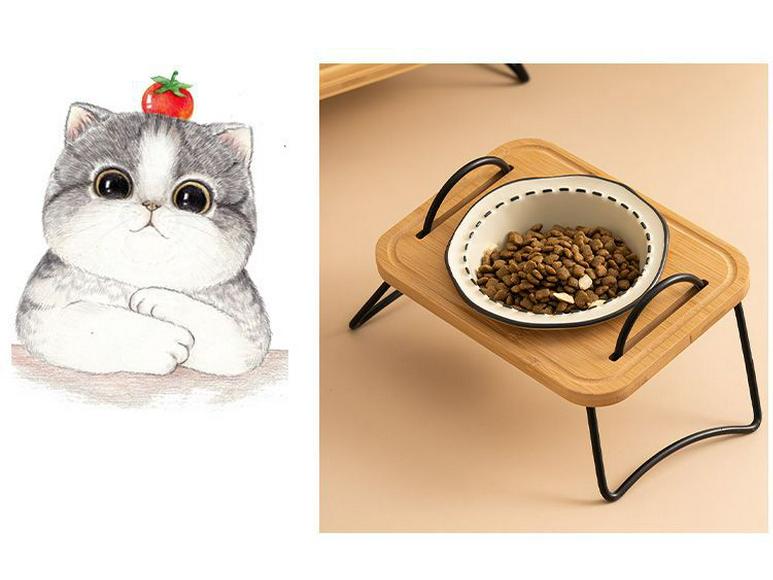 Non-Spill Raised Pet Bowl Set: Double Dog Bowl, Triple Cat Bowl, Anti-Tip Ceramic for Neck Protection
