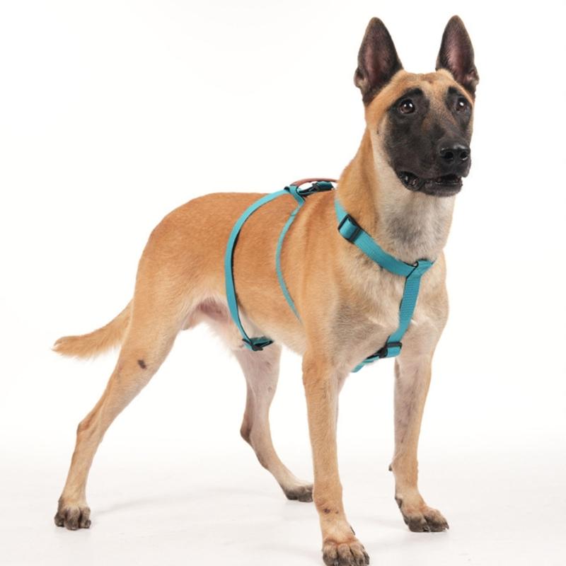 Dog Harness Anti Escape Vest Adjustable Training Vest Pet Strong Training Walking Swimming Hiking Anti Escape Belt