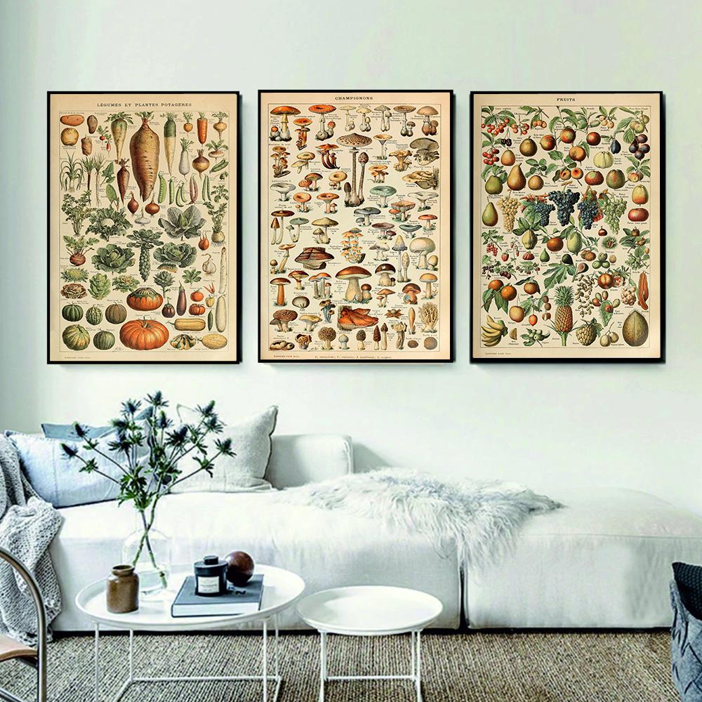 Adolphe Millot Botanisches Poster Blumen Früchte Gemüse Eier Pilze Leinwandmalerei Wandkunst Leinwandmalerei Heimdekor