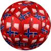 Haaland Soccer Ball Size 5 Football Machinestitched Indooroutdoor Universal Football Sports Enthusiast Gifts Distinctive Home Decor And Party Gift