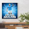 Haaland 5D Diamond Painting Round Diamond Rhinestones Mosaic Diamond Embroidery Wall Paintings Rhinestones Gift Frameless
