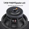 Kayola DY-18 18-inch Passive Full-Range Conference Speaker (CN version)