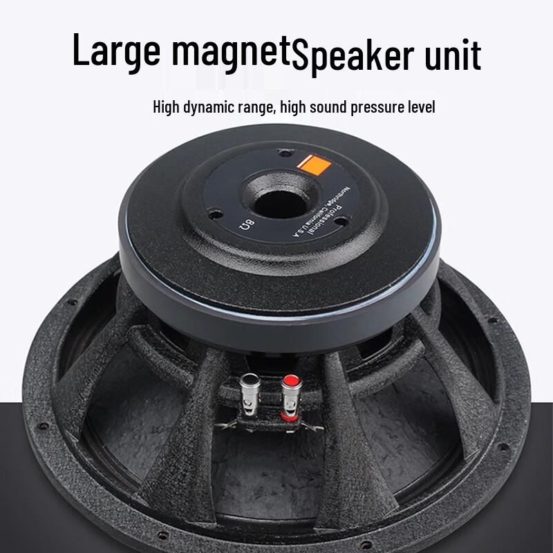 Kayola DY-18 18-inch Passive Full-Range Conference Speaker (CN version)