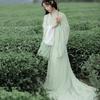 Elegant Chinese Traditional Hanfu Set, Flowing Wide Sleeve Robe with Trailing Straight Hem, Cold Style Fairy Photography Outfit