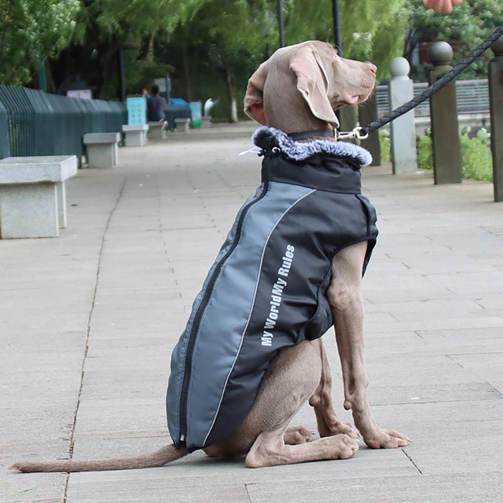 Reflective Dog Vest For Walking At Night Waterproof Dog Coat Winter Dog Clothes Jacket Pet Dog Coat With Harness