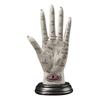 Handflächenlese Hand Harz Statue Wahrsagen Lesen Antik Mystisch Mit Linien Und Skulptur Für Leser Schmuckstück Packung Dekoration Haus