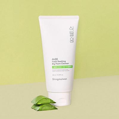 Botanical Garden Aloe Fresh Soothing Big Foam Cleanser