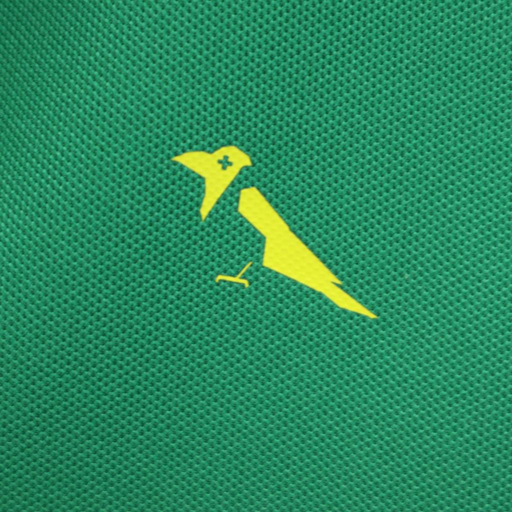 MONOCROM Short Sleeve Polo Shirt XL Green Men's Used