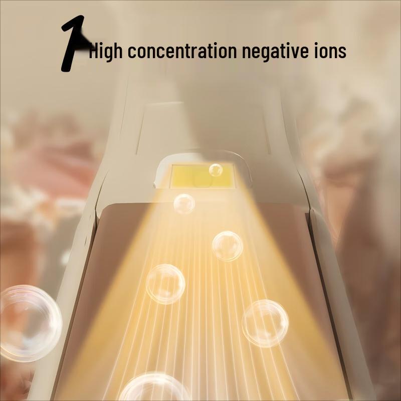 RIWA RB-8160 2-in-1 Negative Ion Hair Straightener and Curler CN plug (adapter included)