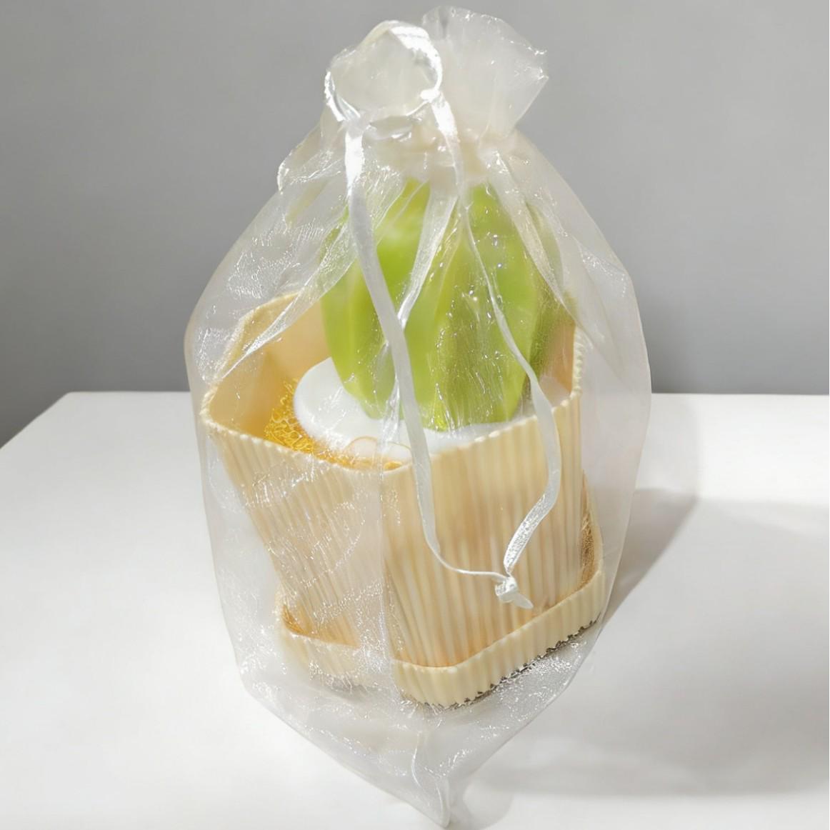 Cactus Gradient Nano Cleaning Pot Brush
