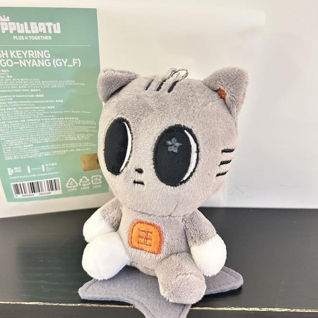 [USED] TXT Pullover Pop-Up Dagonyan Keyring Taehyung