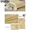 Mulberry Silk Cotton Quilt Winter Thickening Dormitory Single Warm Winter Quilt Core Double Air-conditioned Quilt