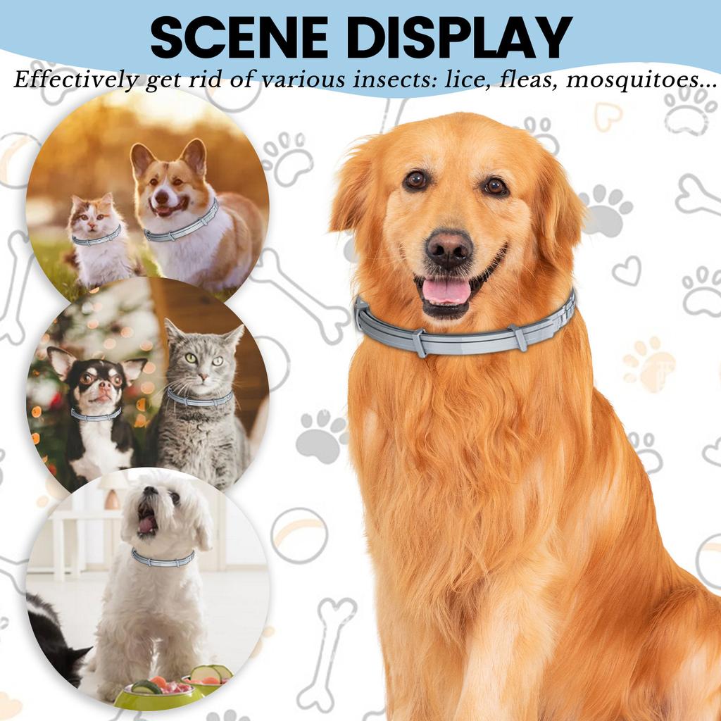8 Monate, Anti-Parasiten-Halsband, Anti-Floh, Anti-Zecken, Leishmaniose, für kleine und mittelgroße Hunde