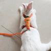 Small Dog Harness and Leash Set Escape Proof No Pull for Puppies Adjustable Cute Harnesses for Rabbit Bunny Hamster