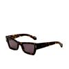 Ferragamo Women S Dark tortoiSe 53mm SunglaSSeS Dark tortoiSe