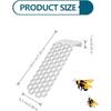 Bee Insect Drinking Bee Ladder Insect Floating Bee Ladder