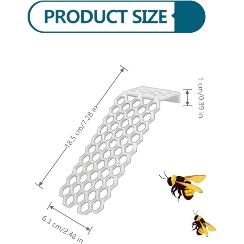 Bee Insect Drinking Bee Ladder Insect Floating Bee Ladder