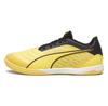 Puma Ibero IV Football Boots