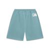 Li-Ning Pure Color Logo Straight Casual Shorts Men Bottoms Lime-Green AKST079-6