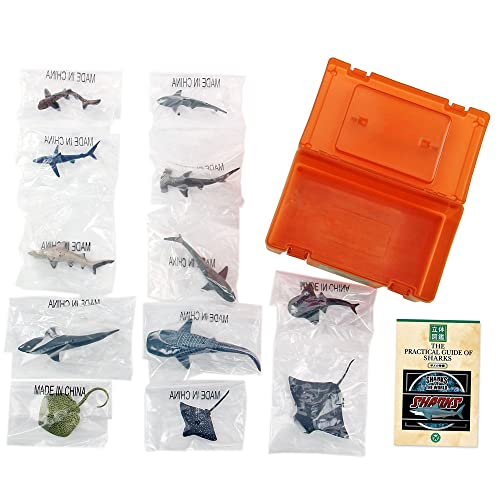 Carolata 3D Illustrated Guide to Sharks (12 Figures / Includes Instruction Manual and Stand) Realistic Toy (Educational Toy) Birthday Gift (Food Sanit