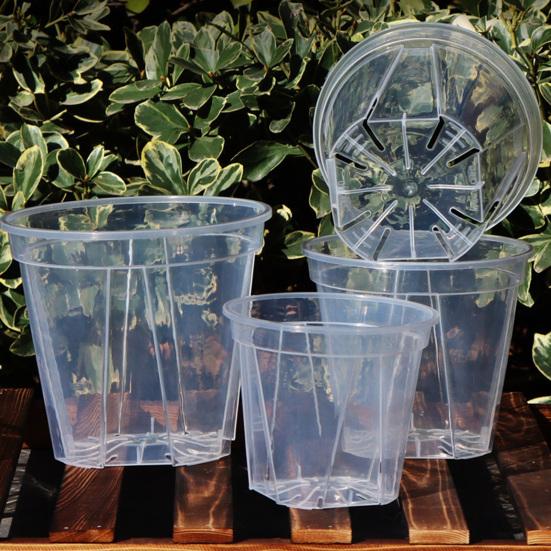 Breathable Flowerpot Transparent PP Blueberry Planter Pot for Phalaenopsis Hydroponics Hot Plants Self-Watering Aerating Plant Pot for Home Garden