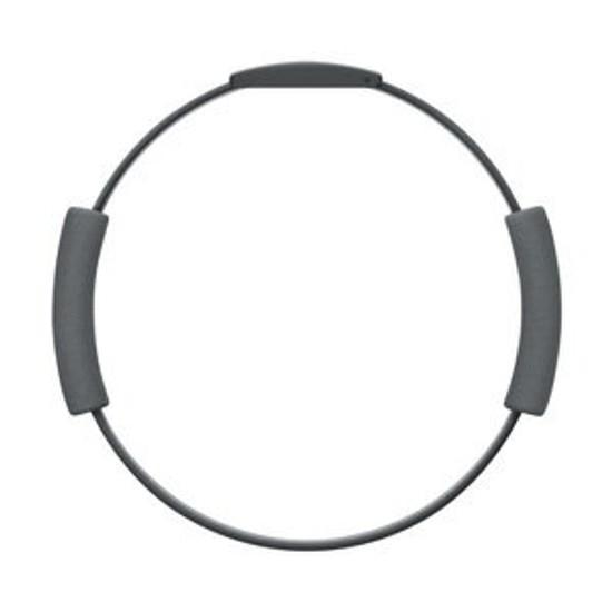 Nintendo Switch Ring Fit Adventure