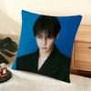 Singer Cha E-Eun W-Woo Cushion Cover Soft Short Plush Pillow Cover Smooth Cozy Texture Aesthetic Cushion Case Home Decor