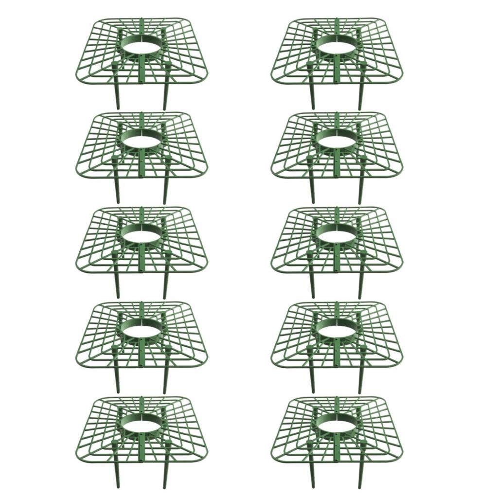 Stable and Sturdy Strawberry Supports Keep Plants Upright and Off the Ground