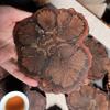 Holz Untersetzer Tisch Tassenmatte Küchenmatte Pad Für Bar Cocktail 1Stück 6-12cm (Durchmesser) Winter süßes Holzscheiben Barzubehör