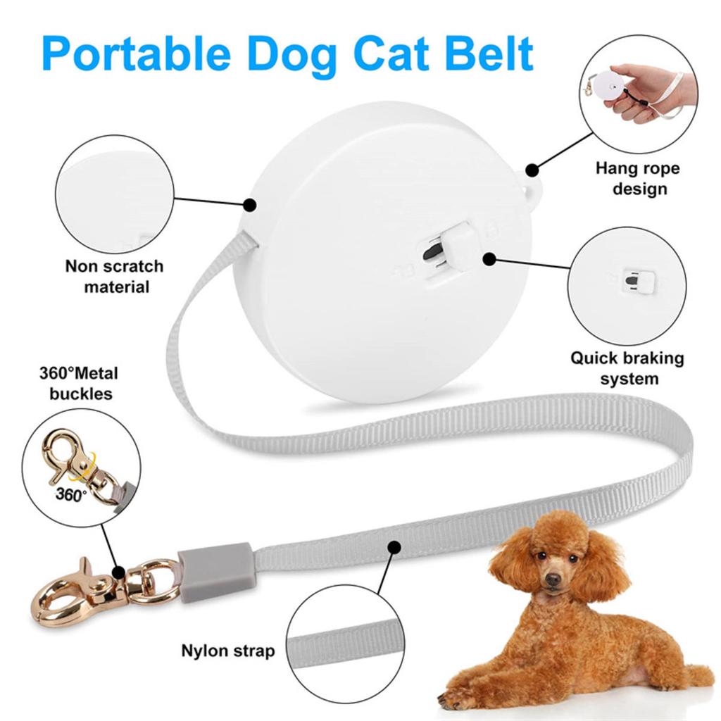 Retractable Dog Leash Automatic Freely  Puppy Cat Traction Rope Belt Dog Leash for Puppy and Kitty Pet Leash