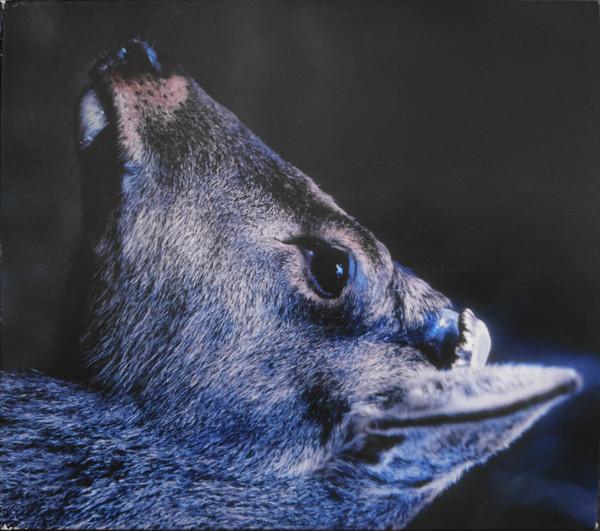 

CD TOE - book about my idle plot on a vague DDCT3006 Catune 2005 Japan Rock Used